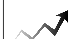 5 Top Weekly TSXV Stocks: Arena Rises on Ganfeng Investment